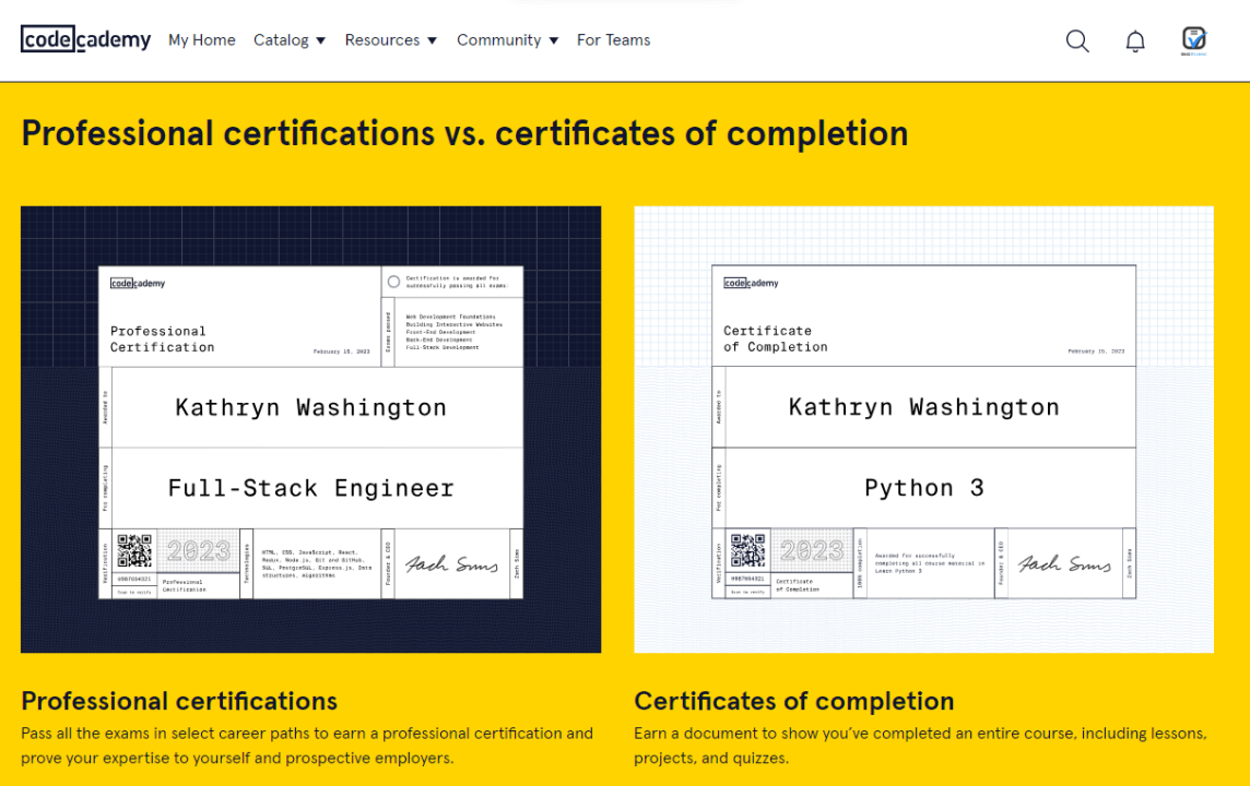 Codecademy Pro Annual Subscription